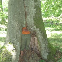 úkryt ve stromě :-)
